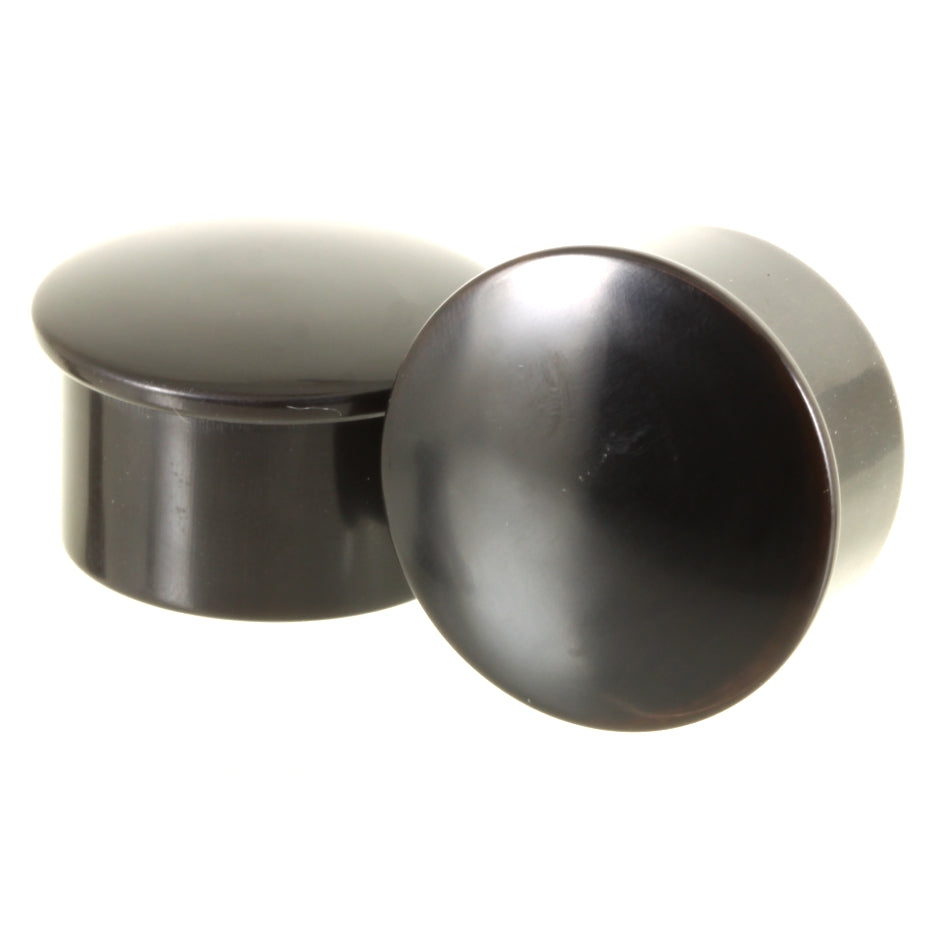 Buffalo Horn Single Flare Plugs